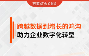 跨越數據到增長的鴻溝，助力企業數字化轉型